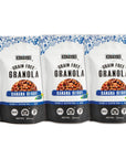 Witzis Grain Free Granola  Banana Berry 5oz Pack of 3