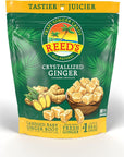 Reed's All Natural Crystallized Ginger Nuggets In A 16 oz Resealable Bag - Baby Ginger Root Fruit Slices Sweetened With Raw Cane Sugar Crystals - High Energy Ginger Candies For Snacking - 12 Pack