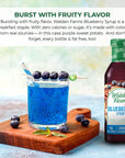 Walden Farms Blueberry Sugar Free Syrup for Pancakes Waffles French Toast and Fresh Pastries 0g Net Carbs Calories Fat or Gluten Kosher Certified 12 oz Bottle