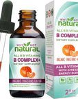 Why Not Natural Vitamin B Complex Liquid Drops - Organic Supplement for Women - Vegan and Sublingual Forms of B1 B2 B3 B5 B6 Biotin Folate and Choline - Plus Blend for Stress and Energy