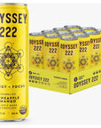 Odyssey Elixir  Odyssey 222  Sparkling Energy Drink  222 mg of Caffeine  Lions Mane  Cordyceps  Energy  Focus  Endurance  Stamina  Nootropic  Pre Workout  Pineapple Mango