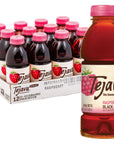 Tejava Unsweetened Raspberry Black Iced Tea 169oz PET Bottles Award Winning NonGMOVerified from Rainforest AllianceCertified farms 12 Pack