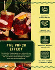 PARCH Spiced Pinarita  Prickly Paloma Variety Pack Ready to Drink Non Alcoholic Agave Cocktail Infused with Desert Botanicals  Adaptogens Plant Based Gluten Free  Vegan 84 oz x 8 pack