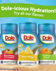 Juicy Mixes Dole Strawberry Pineapple Liquid Water Enhancer  Sugar Free  Delicious Makes 40 Flavored Water Beverages 4 pack