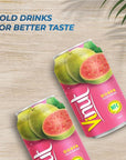 VINUT Guava Juice Drink Freshly Squeezed Guava Not from Concentrate 1110 Fl ozPack of 6 Free from Gluten NonGMO No artificial Preservatives Colors or Flavors Source of vitamin C and Antioxidant