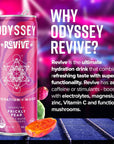 Odyssey Revive Sparkling Hydration Drink wL Theanine Lions Mane Cordyceps and Electrolytes Caffeine Free Natural Energy Drinks Vegan NonGMO 12 Fl oz Variety Pack 12 Cans