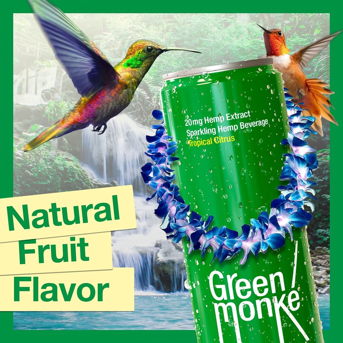 Green Monké Tropical Citrus HempInfused Beverage for Stress  Anxiety Relief Sparkling Non Alcoholic Drink Low Calorie Low Sugar Vegan Friendly  GlutenFree 20mg Hemp Infused Beverage 12 Pack Of 12 Fl Oz Cans