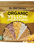 Be Still Farms Yellow Organic Popcorn Kernels 48lb  Uncooked Corn Bulk Great for Movie Night  Healthy Microwave Snacks Ideal for Popping  USA Grown  USDA Certified  Vegan  NonGMO