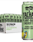 Yachak Yerba Mate Drink Ultimate Mint Packaging May Vary 16 Fl Oz Pack of 12