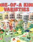 Aura Bora Variety Pack Herbal Sparkling Water 12 oz Can Pack of 18 0 Calories 0 Sugar 0 Sodium NonGMO