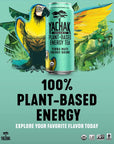 Yachak Yerba Mate Drink Ultimate Mint Packaging May Vary 16 Fl Oz Pack of 12