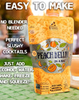 Lt Blenders Peach Bellini in a Bag  Wine Slushie Mixes  Each Bag Makes 12 Gallon of Frozen Peach Bellini Mix  NonGMO Wine Freezer mix  Make with Wine Liquor or as a Mocktail  Pack of 4