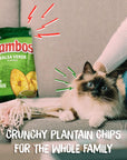 Zambos Plantain Chips Salsa Verde, Crunchy Premium Plantain Chips, 8 Pack 2.47 Ounce