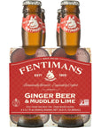 Fentimans Ginger Beer  Muddled Lime  Ginger Beer Non Alcoholic Tonic Water Mixer No Artificial Sweeteners All Natural  67 Fl Oz Pack of 4