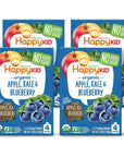 Happy Kid Squeeze Organic Superfoods Twist Organic Apple/Kale/Blueberry, 3.17 Ounce Pouches (Pack of 16)