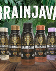 BRAINJAVA House Brew Ready To Drink Coffee 4 Pack Black Fair Trade Arabica Coffee with 150mg Caffeine LTheanine Potassium B Vitamins For Focus Clarity Gluten Free Vegan 8 fl oz Bottles