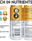 NEOZEN Sugar Free Energy Drink - Zero Calorie - 11.2 Fl Oz (Pack of 12)