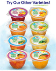 Dole Fruit Bowls Diced Mango in 100 Juice Snacks 4oz 36 Total Cups Gluten  Dairy Free Bulk Lunch Snacks for Kids  Adults