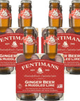 Fentimans Sparkling Ginger Beer  Muddled Lime  Ginger Beer Non Alcoholic Ginger Ale with Natural Ginger Root Mixer Craft Soda No Artificial Flavors or Preservatives  67 Fl Oz Pack of 12