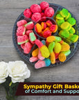 BND TOP Freeze Dried Candy Assortment Candies in a Sectional Tray Best Gift Basket for a Birthday Party or sympathy basket Variety Pack incl Freeze dry Gummy Worms watermelon Berries  Hamburgers variations Gift Basket