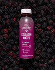 Vital Proteins Collagen Water, BlackBerry Hibiscus, 10g Collagen, Low Sugar, No Artificial Colors or Preservatives, 12 Fluid Ounce (Pack of 12)