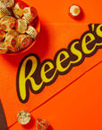 REESES Miniatures Milk Chocolate Peanut Butter Cups Candy Party Pack 356 oz