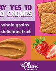 Plum Organics Jammy Sammy Snack Bars  Peanut Butter and Strawberry  102 oz Bars Pack of 30  Organic Toddler Food Snack Bars