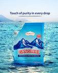 Shubhkart 200 ml Gangajal Pure Holywater from the Himalayas Ganga Jal Pack of 2  Government Certified  Holy Ganga Water