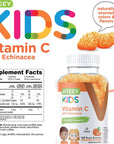 Vitamin C Gummies with Echinacea Formulated for Kids [Immune Support Booster] Herbal Dietary Vitamin Supplements, Vegan, Pectin Based, Gelatin Free, Gluten Free, Non GMO, Orange Flavor Chewable Gummy…