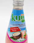 Coconut Milk Drink With Nata de Coco - Includes 3 Bottles of 29.4 Total Fl Ounce