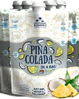 Lt Blenders Pina Colada in a Bag  Pina Colada Drink Mix  Each Bag Makes 12 Gallon of Slushie Pina Colada Mix  Cocktail Mix  Make a Cocktail Wine Slushie or Mocktail  Pack of 5