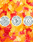 SmartSweets Fruity Gummy Bears 18oz Pack of 12 Variety of Flavors Candy with Low Sugar 4g Low Calorie 110 No Artificial Sweeteners GlutenFree Healthy Snack for Kids  Adults