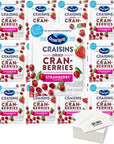 Ocean Spray Craisins Dried Cranberries Strawberry Flavor 116oz Pouches Pack of 20 with Bay Area Marketplace Napkins