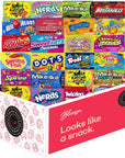 Blunon Movie Theater Candy  Assorted Candy Variety Pack  24 Large Theater Size Boxes Pack of 24