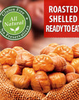 Galil Organic Roasted Chestnuts Pack of 2 - Shelled & Ready to Eat - Gluten Free, Vegan, Organic, Non-GMO, Kosher Snacks - Great for Baking, Cooking & Turkey Stuffing 3.5oz Bags