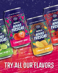 Jumex Aguas Frescas Strawberry Flavor 113 Fl Oz Pack of 24