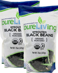 PureLiving  Organic Sprouted Black Beans 15 Oz  2 Pack  Non GMO Kosher