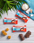 Quest Nutrition Coconutty Caramel Candy Bites 1g Net Carbs Less Than 1g of Sugar Gluten Free 8 Count Pack of 3