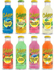 Calypso Lemonades Made -  8 Flavor Variety - 16 Fl Oz (Pack of 8)