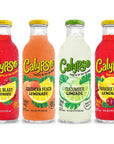 Calypso Lemonades Made with Real Fruit and Natural Flavors  4 Flavor Variety16 Fl Oz Pack of 8