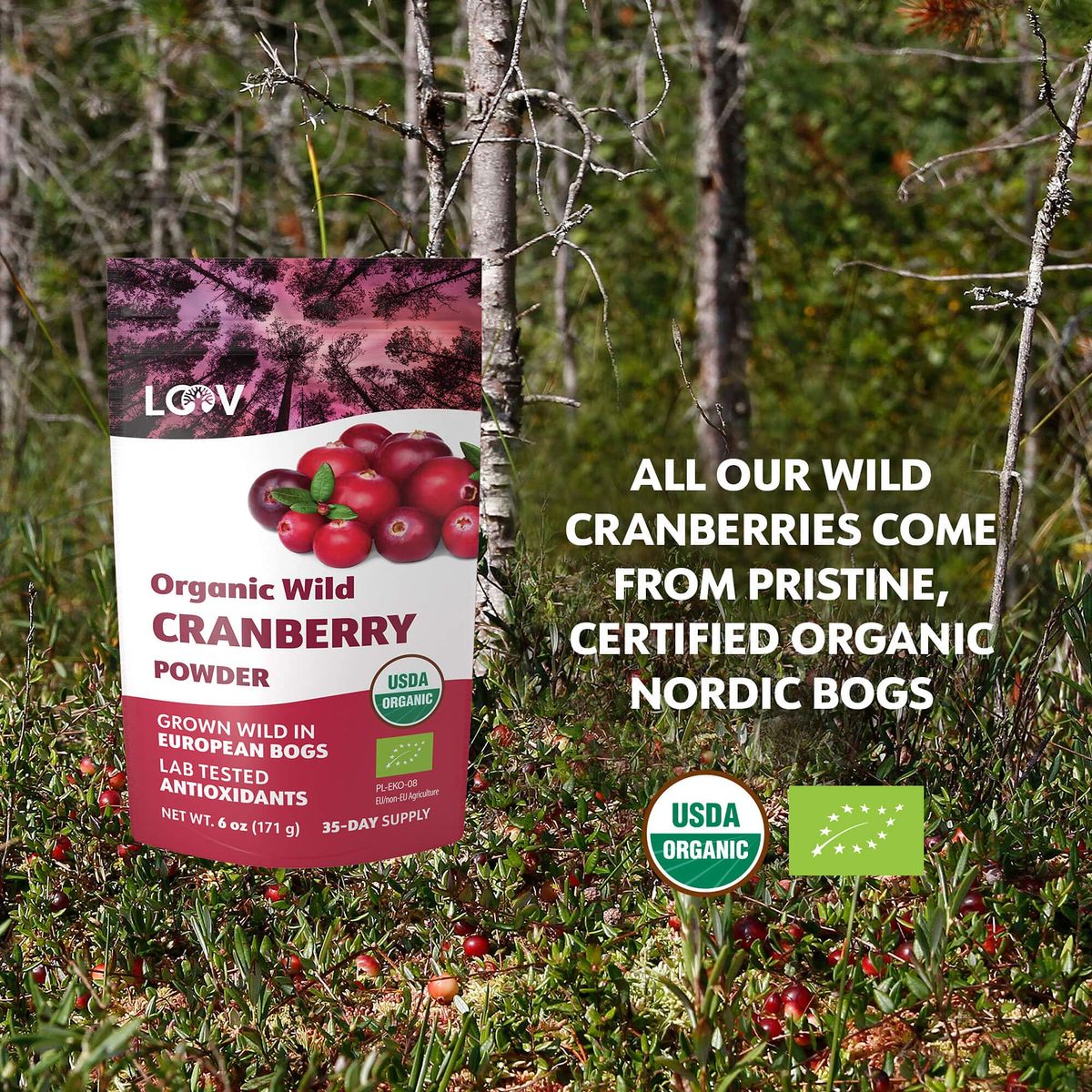 Wild Organic Freeze Dried Cranberry Powder 6 Oz 35Day Supply from Nordic Forests No Added Sugar