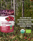 Wild Organic Freeze Dried Cranberry Powder 6 Oz 35Day Supply from Nordic Forests No Added Sugar