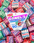 Canels Original Chewing Gum Assorted Flavors 1 Pound Bag  Approx 90 Count