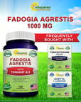 aSquared Nutrition Fadogia Agrestis 1000mg & Tongkat Ali 400mg - 120 Capsules - Fadogia Agrestis Extract Supplement and Powder Complex Pills