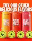 Plant Press  Watermelon Organic Clean Caffeine Energy Drink  Coffee Alternative Full Range of Vitamins Electrolytes No Sugar Alcohols No Preservatives 12 Fl Oz 12 Pk