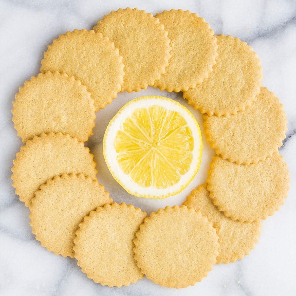 Dewey&#39;s Bakery Meyer Lemon Cookie Thins | No Artificial Flavors, Synthetic Colors or Preservatives | Baked in Small Batches | 9oz (Pack of 1)