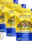 Lark Ellen Farm Grain Free Granola Organic, Raw Sprouted Certified Organic Low Sugar Vegan Granola Clusters, Paleo Granola, Crunchy Gluten Free Granola Bites for Cereal or Yogurt (Lemon Blueberry) (8 oz, 3 Pack)