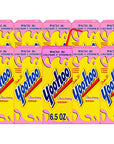 Yoohoo Flavored Milk Drink  Assortment of Chocolate Milk and Strawberry Milk  Fatfree Caffeinefree Rich in Calcium and Vitamin D  65 Fl oz EasytoSip Carton boxes  Pack of 10  Packaged in a BETRULIGHT Branded Box