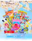 Sakura Box Japanese Snacks  Candy 30 Piece Dagashi Set Gift Box