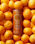 Sparkling Clementine Juice 4 Cans 84 Fl Oz each  Natural Sparkling Water  Fruit Juice Blend with Stainless Steel Coffee Beverage Stirrers  No Added Sugar Low Sodium Perfect for Refreshin